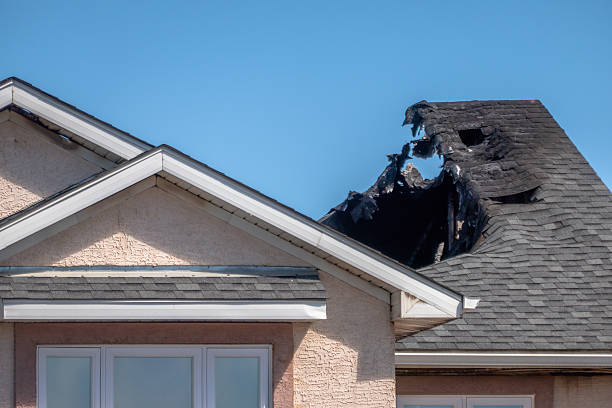 Top rated local Firefighting Water Removal specialists in Bellevue, KY